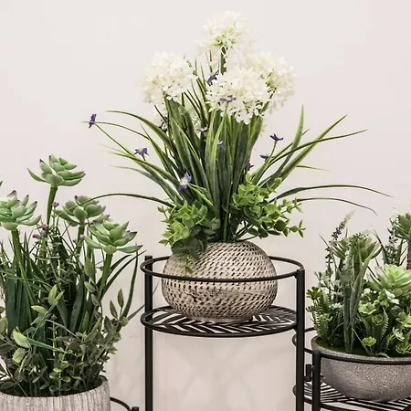 La Casa Di Ari Lägenhet