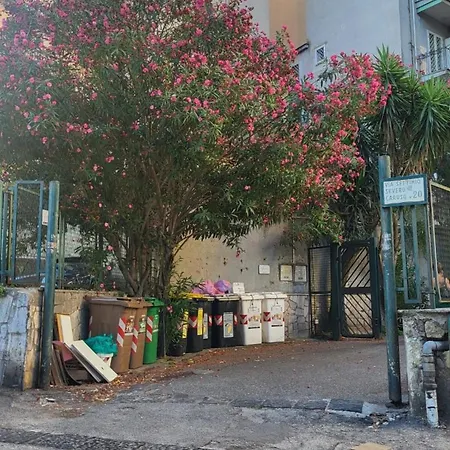 La Casa Di Ari